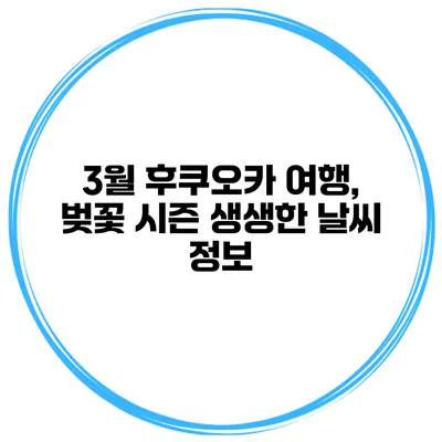 3월 후쿠오카 여행, 벚꽃 시즌 생생한 날씨 정보