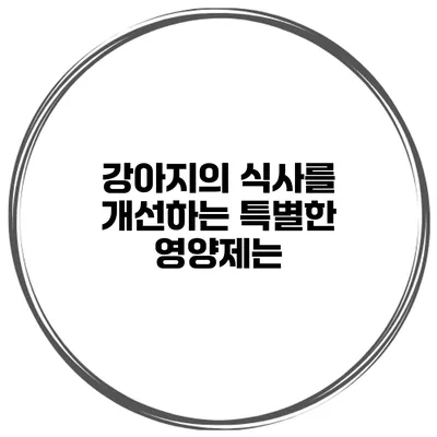 강아지의 식사를 개선하는 특별한 영양제는?